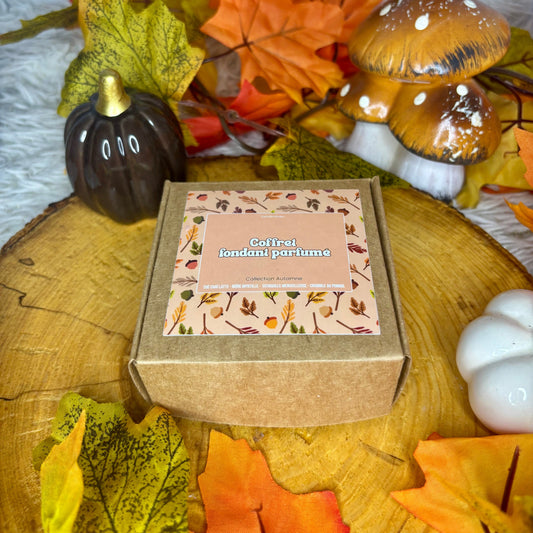 Coffret fondant parfumée Automne